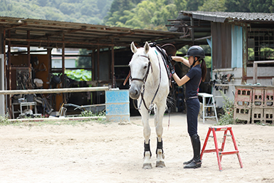 瀬野川乗馬クラブについて