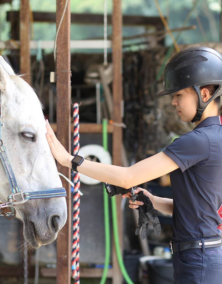 瀬野川乗馬クラブ