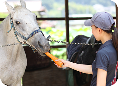 障がい者乗馬